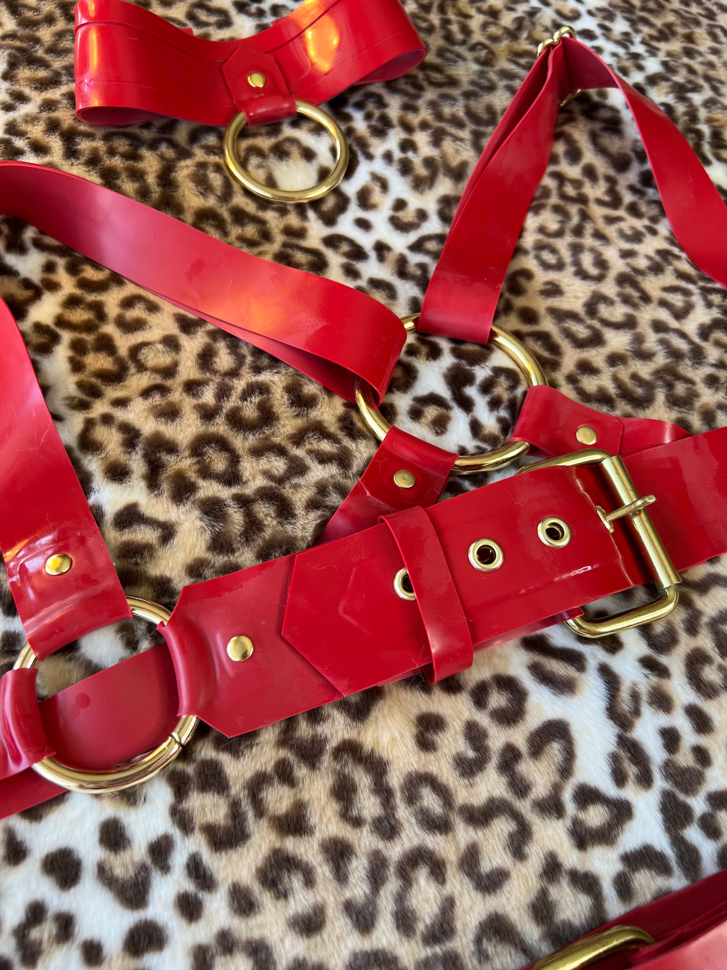 Front Buckle Chest Harness